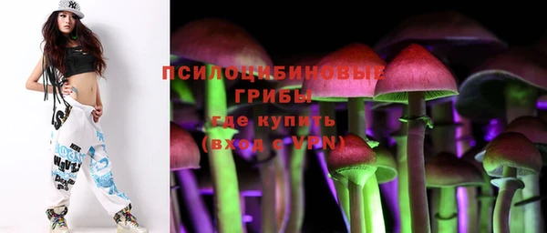 mix Аркадак