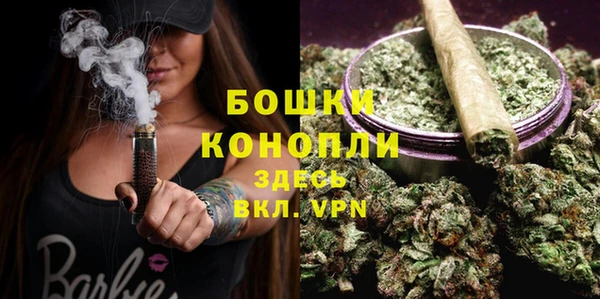 ПСИЛОЦИБИНОВЫЕ ГРИБЫ Балабаново