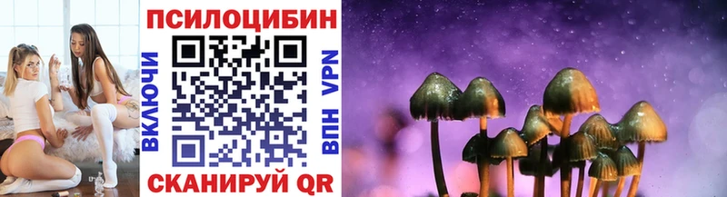 Галлюциногенные грибы Psilocybine cubensis  Медвежьегорск 